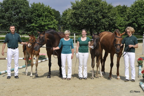 Ulrike Bubenzer präsentierte stolz das Sieger- und das Reservesieger-Stutfohlen der Lindlarer Schau. (Foto: OBK) Ulrike Bubenzer präsentierte stolz das Sieger- und das Reservesieger-Stutfohlen der Lindlarer Schau. (Foto: OBK)