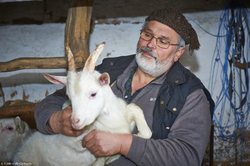 Museumslandwirt Gerd Linden mit Ziege (Foto: FLMK-LVR-Gerhards)