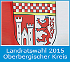 10 Landratswahl 2015