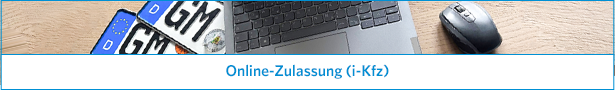 Boxlogo Online-Zulassung. (Foto: OBK)