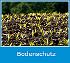 Bodenschutz