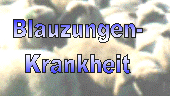 Logo Blauzungenkrankheit