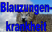 Logo für Blauzungenkrankheit Logo für Blauzungenkrankheit