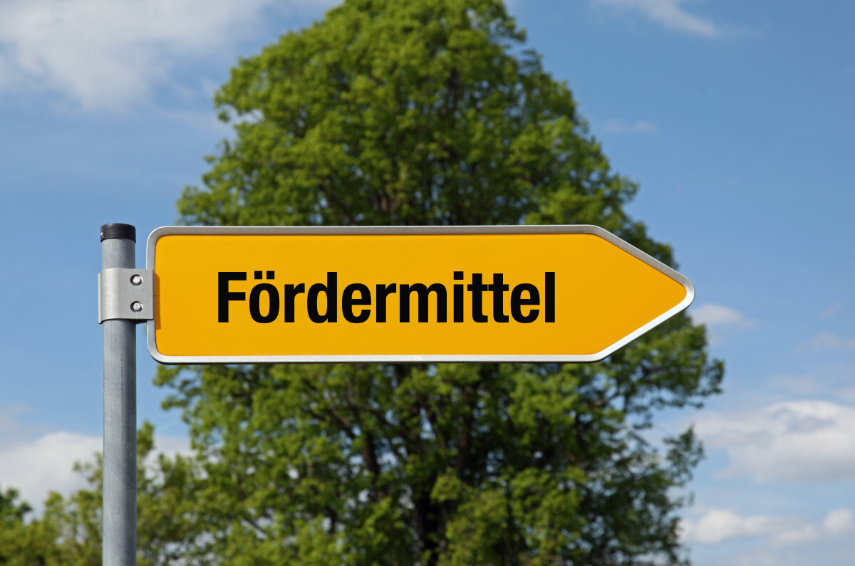 Pfeil mit Baum FÖRDERMITTEL
