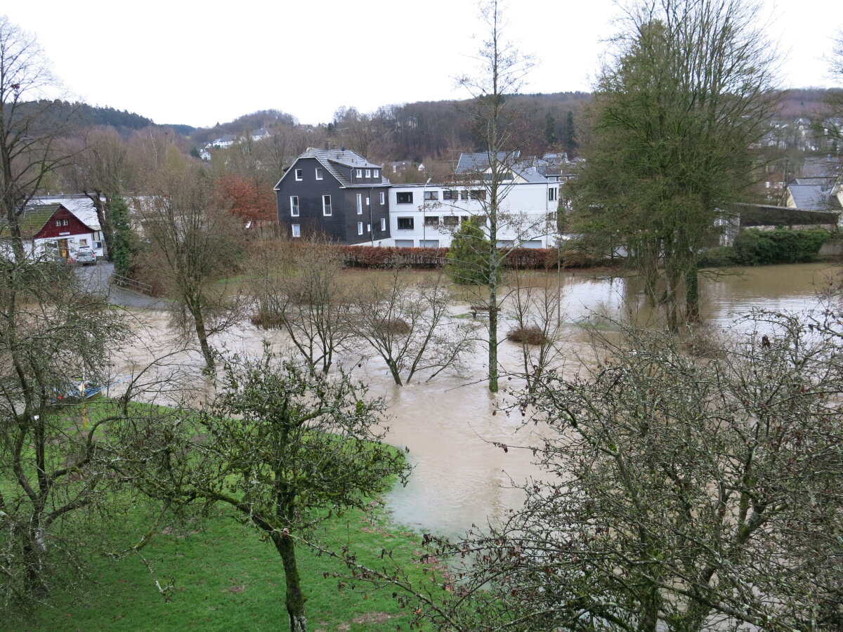 Ein überflutetes Gebiet mit teilweise überschwemmten Bäumen und Grünflächen. Im Hintergrund sind Gebäude und eine hügelige Landschaft sichtbar.