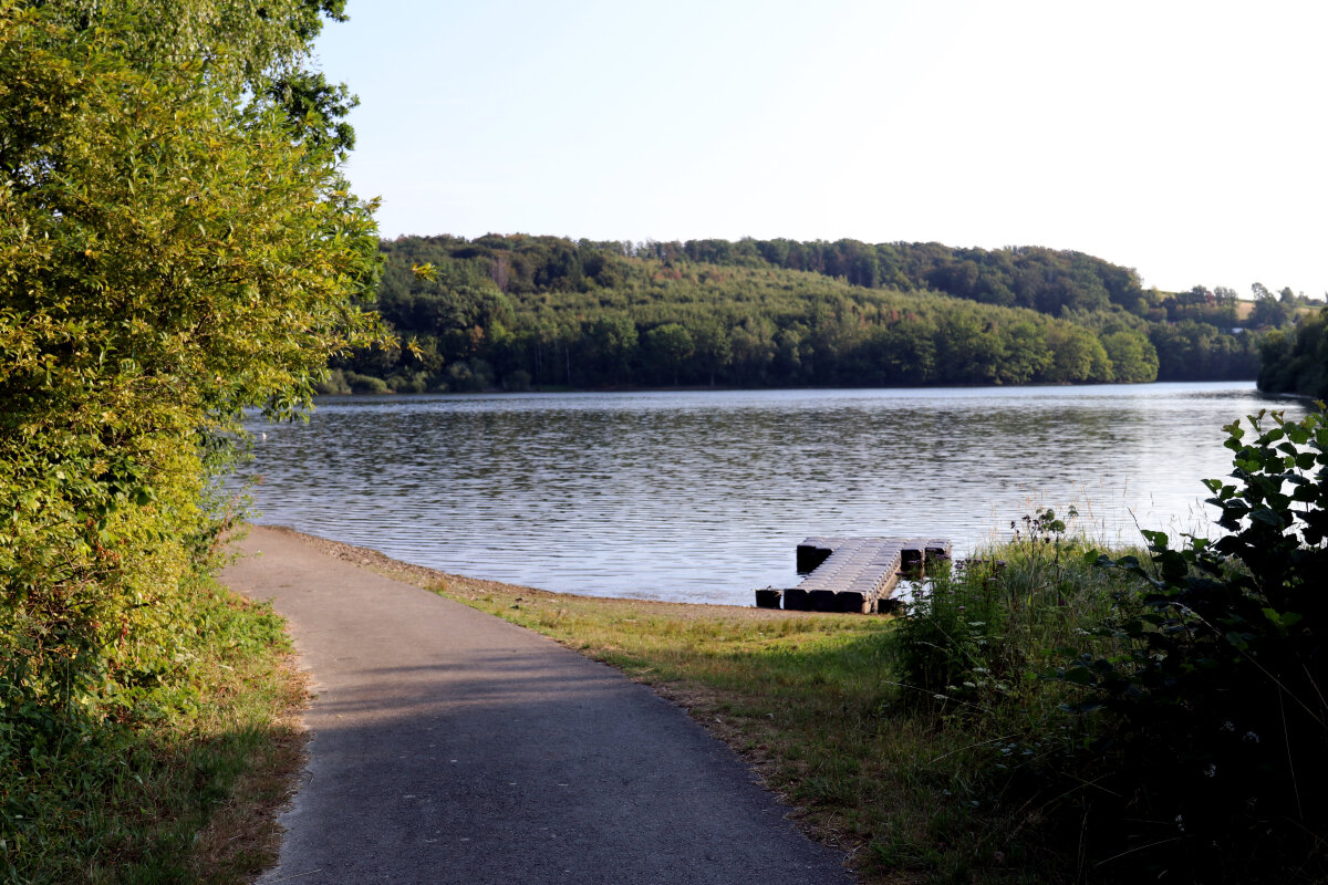 Ein asphaltierter Weg führt an einem See entlang, umgeben von grünen Bäumen und Sträuchern. Rechts ist ein kleiner Steg am Wasser zu sehen.