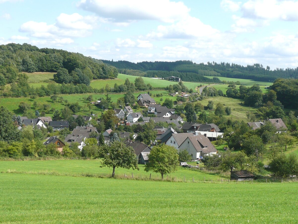 Eine ländliche Gegend mit einem kleinen Dorf, umgeben von grünen Wiesen, Bäumen und Hügeln unter einem leicht bewölkten Himmel.