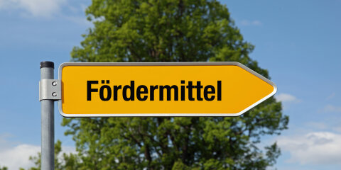 Pfeil mit Baum FÖRDERMITTEL