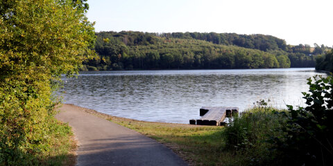 Ein asphaltierter Weg führt an einem See entlang, umgeben von grünen Bäumen und Sträuchern. Rechts ist ein kleiner Steg am Wasser zu sehen.