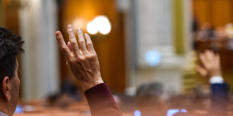Hand raised in the air during a voting procedure