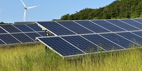Eine Wiese mit Solarmodulen im Vordergrund und einer Windkraftanlage im Hintergrund. Der Himmel ist klar, und im Hintergrund sind Bäume sichtbar.