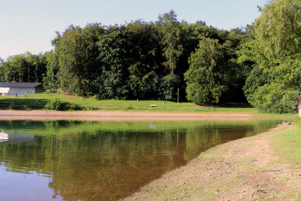 Bevertalsperre Badestelle Zornige Ameise