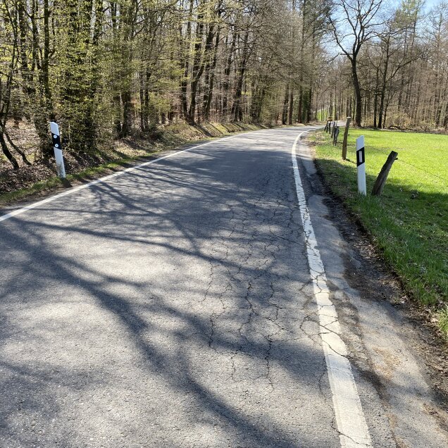 Eine asphaltierte Landstraße führt durch eine ländliche Gegend mit Wald auf der linken Seite und einer Wiese auf der rechten Seite. Weiße Leitpfosten säumen den Straßenrand, und die Schatten von Bäumen fallen auf die Straße.