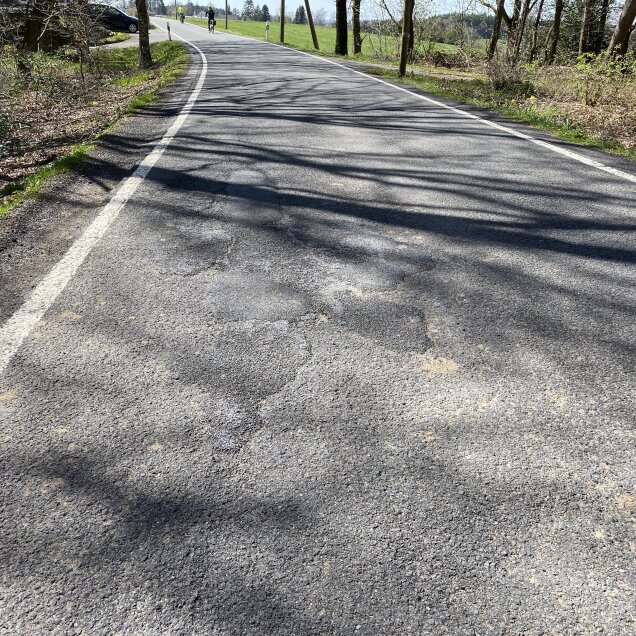 Eine asphaltierte Landstraße mit sichtbaren Schlaglöchern und Rissen. Die Straße ist von Bäumen und Sträuchern gesäumt. Im Hintergrund sind Personen erkennbar.