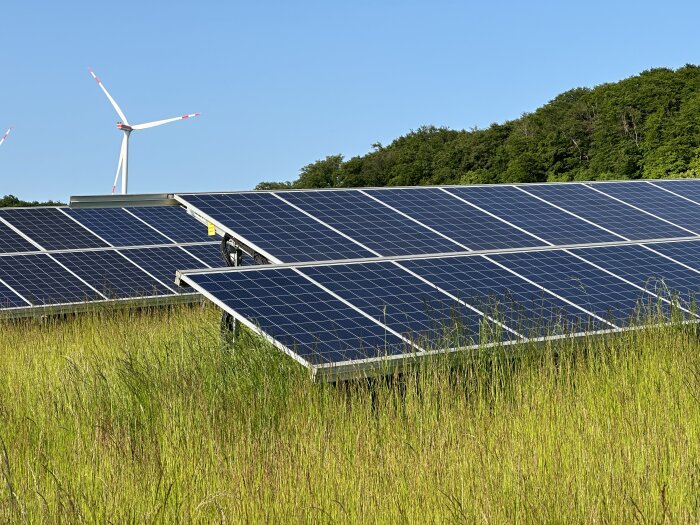 Eine Wiese mit Solarmodulen im Vordergrund und einer Windkraftanlage im Hintergrund. Der Himmel ist klar, und im Hintergrund sind Bäume sichtbar.
