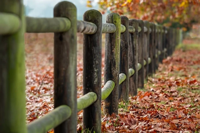 Ein Holzzaun mit grünlichem Moos bewachsen, der diagonal in die Tiefe des Bildes verläuft. Der Boden ist mit herbstlichen, orangebraunen Blättern bedeckt.
