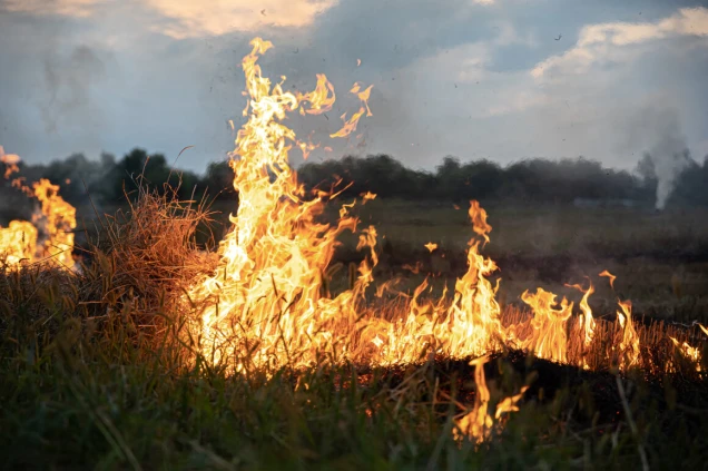 Ein Feld mit brennendem Gras oder Stroh, Flammen lodern hoch in die Luft. Im Hintergrund sind Bäume und Rauch am Himmel sichtbar.