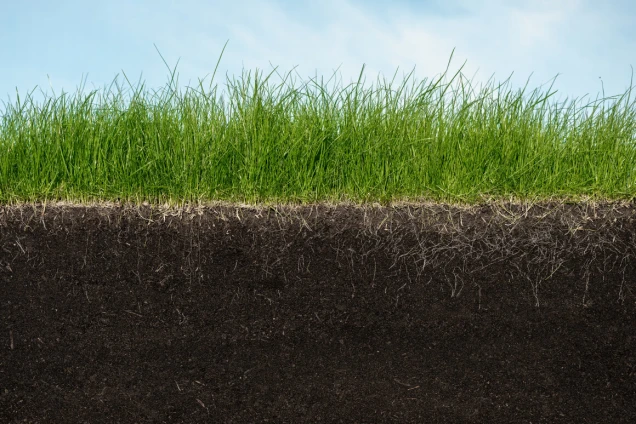 Querschnitt einer Grasfläche mit grünem Gras oberhalb und dunkler Erde mit sichtbaren Wurzeln darunter, vor einem blauen Himmel.