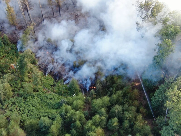 Luftaufnahme eines Waldbrandes mit Rauch, Flammen und Feuerwehrkräften, die mit Schläuchen versuchen, das Feuer zu löschen. Umgeben von Bäumen und Vegetation.