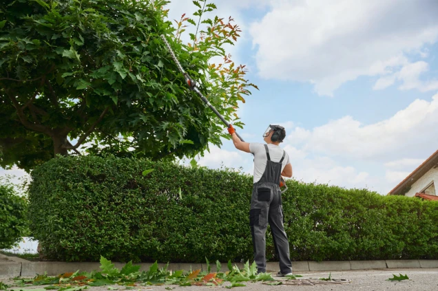 Caucasian man in mask and gloves pruning trees outdoors