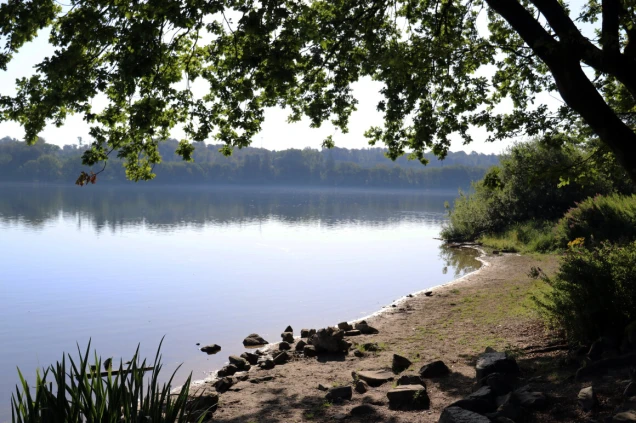 Bruchertalsperre Badestelle Campingplatz