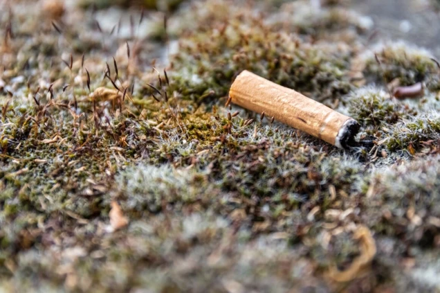 Nahaufnahme einer weggeworfenen Zigarettenkippe, die auf moosbedecktem Boden liegt. Die Umgebung ist unscharf und zeigt verschiedene Grüntöne des Mooses.