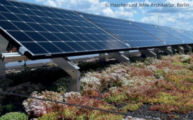 Solarmodule auf einem begrünten Dach mit Pflanzen in verschiedenen Farben unter einem bewölkten Himmel.
