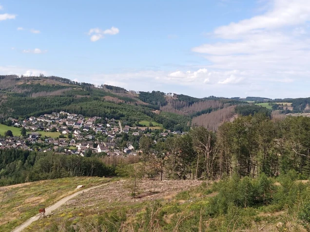 Landschaft mit einem Dorf im Tal, umgeben von bewaldeten Hügeln. Im Vordergrund ein Weg und Bereiche mit abgeholzten Bäumen. Blauer Himmel mit Wolken.