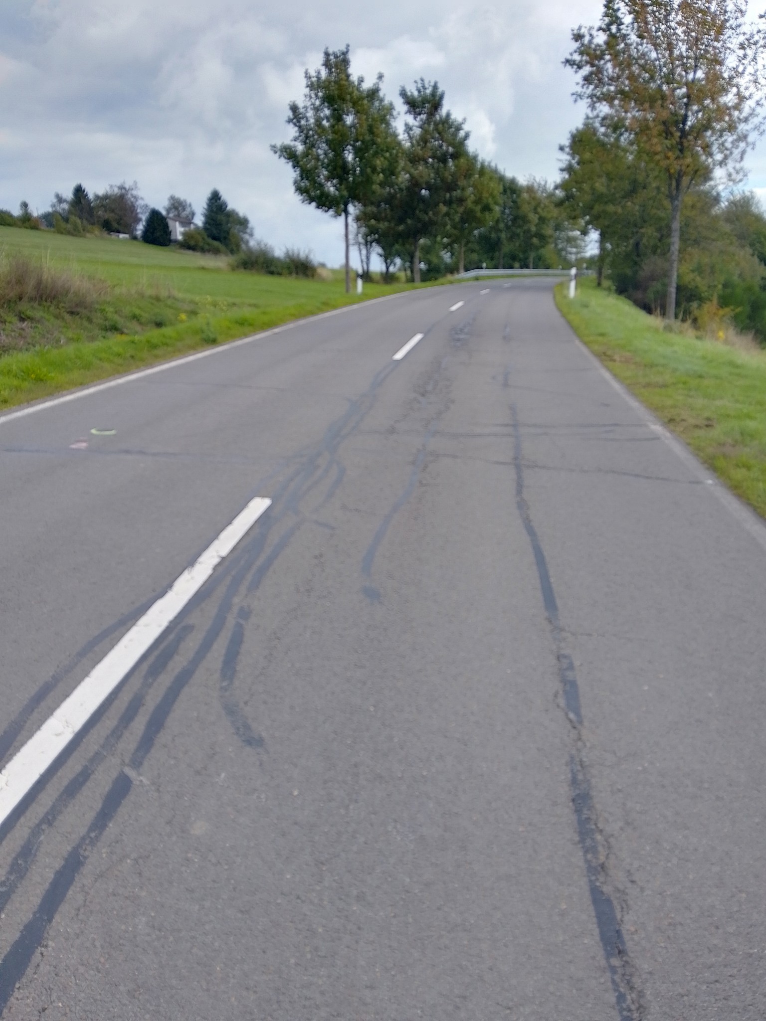 Straße mit Kurve, umgeben von Bäumen und Grünflächen. Rechts ein gelbes Verkehrsschild mit Wegweisern zu Orten. Sonniges Wetter.