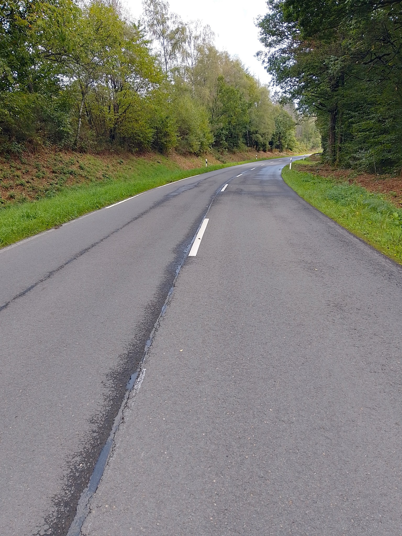 Eine asphaltierte Landstraße mit weißer Mittellinie, umgeben von grüner Vegetation und Bäumen auf beiden Seiten. Leichter Kurvenverlauf sichtbar.