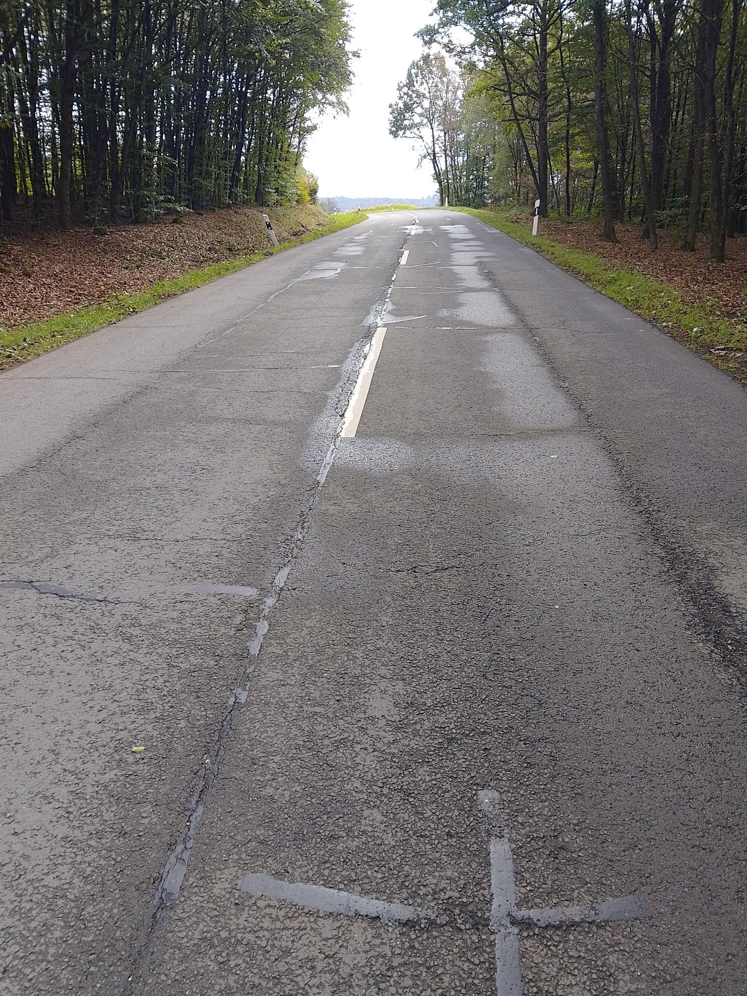 Eine asphaltierte Straße mit weißen Fahrbahnmarkierungen, umgeben von Grünflächen und Bäumen. Im Hintergrund ein Strommast und Stromleitungen.
