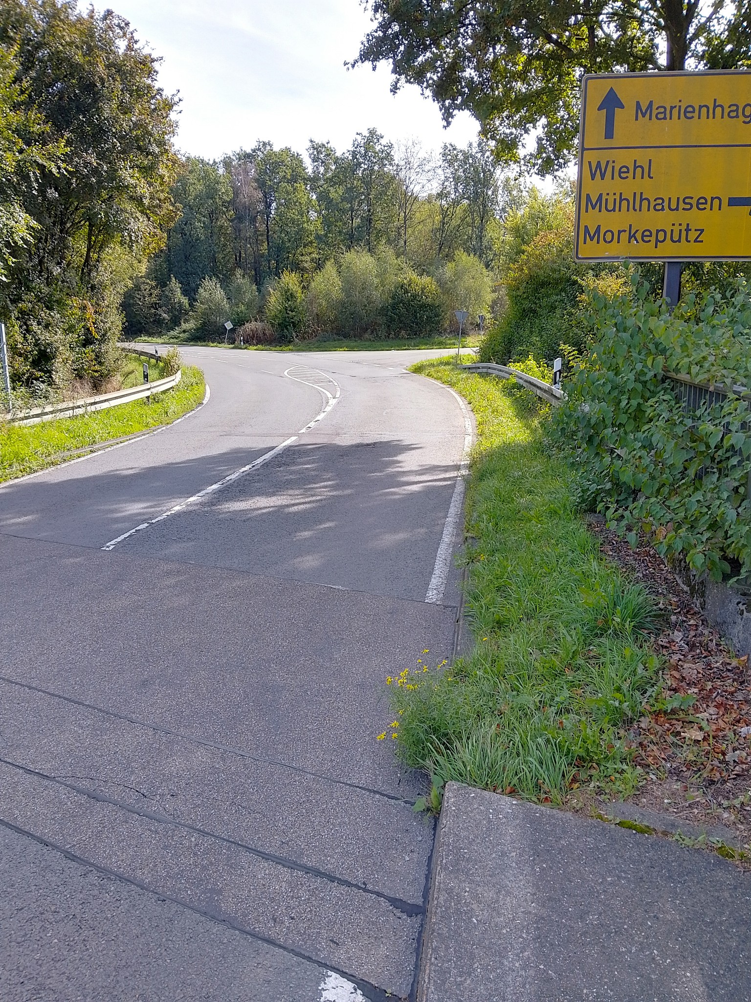 Straße mit Kurve, umgeben von Bäumen und Grünflächen. Rechts ein gelbes Verkehrsschild mit Wegweisern zu Orten. Sonniges Wetter.