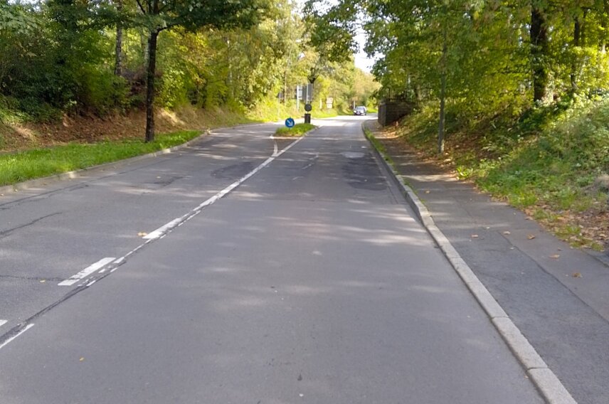 Straße mit Fahrbahnmarkierungen, umgeben von Bäumen und Grünflächen. Im Hintergrund ein Verkehrsschild und ein abzweigender Weg. Tageslicht.