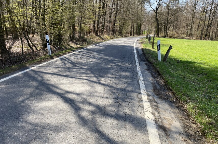 Eine asphaltierte Landstraße mit weißen Leitpfosten, die durch eine bewaldete Umgebung und an einer grünen Wiese entlangführt. Schatten von Bäumen auf der Straße.