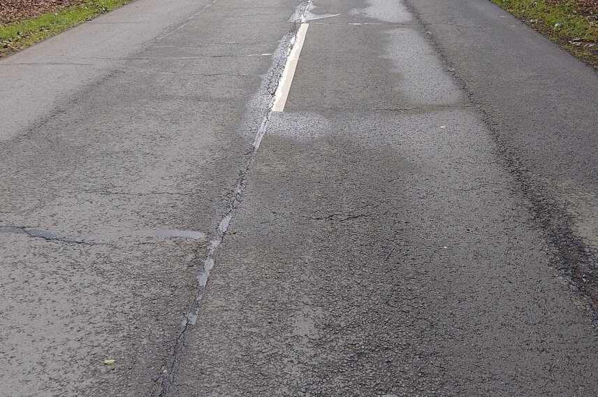 Eine asphaltierte Landstraße mit Mittellinie, umgeben von Bäumen. Die Straße ist stellenweise nass und führt in Richtung eines helleren Horizonts.