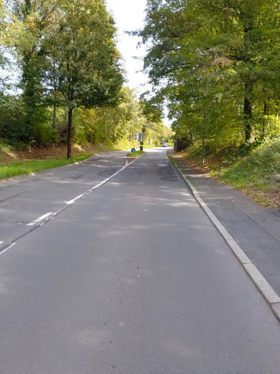 Straße mit Fahrbahnmarkierungen, umgeben von Bäumen und Grünflächen. Im Hintergrund ein Verkehrsschild und ein abzweigender Weg. Tageslicht.