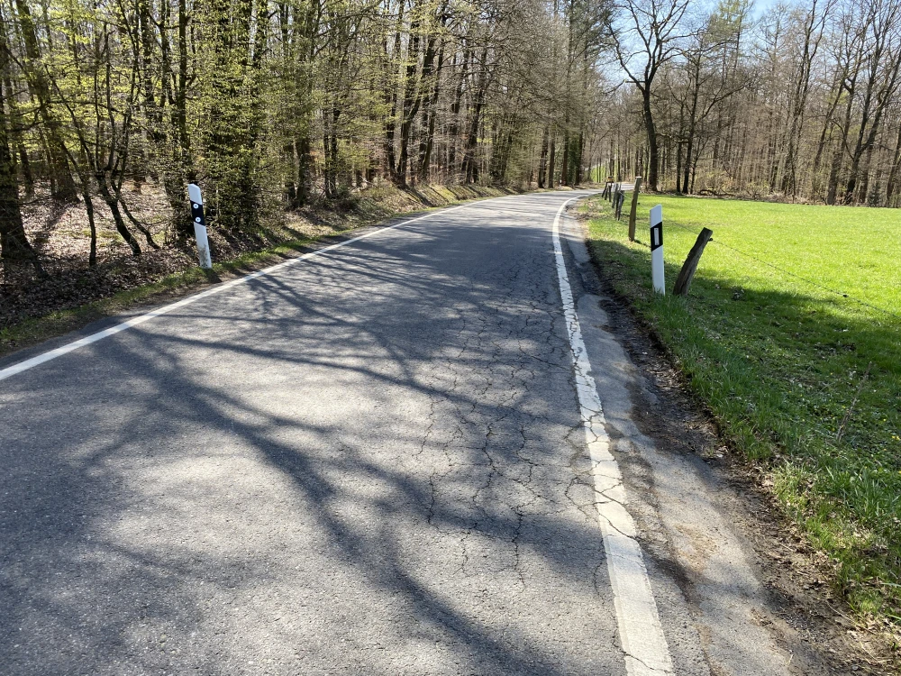 Eine asphaltierte Landstraße mit weißen Leitpfosten, die durch eine bewaldete Umgebung und an einer grünen Wiese entlangführt. Schatten von Bäumen auf der Straße.