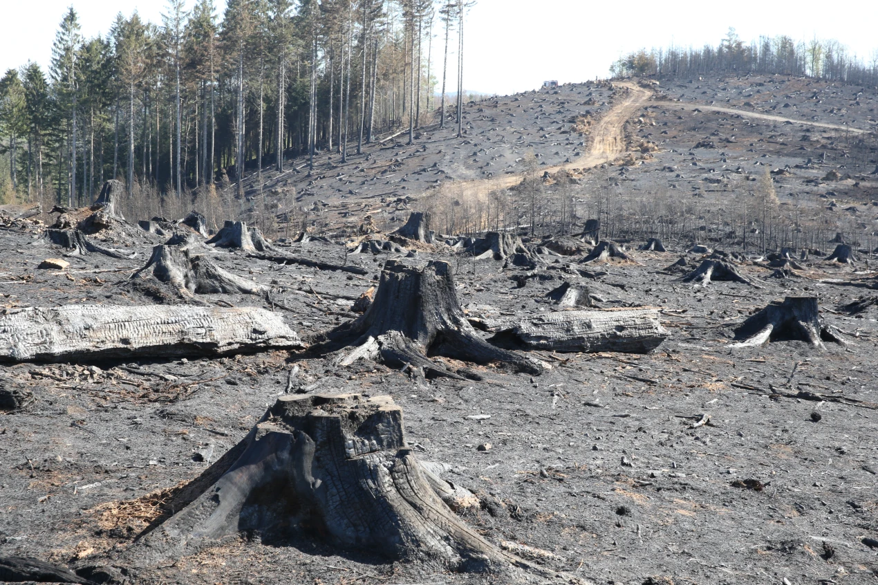 Diese Aufnahme wurde nach dem Brand auf dem Hömerich in Gummersbach im Jahr 2020 aufgenommen. (Foto: OBK)