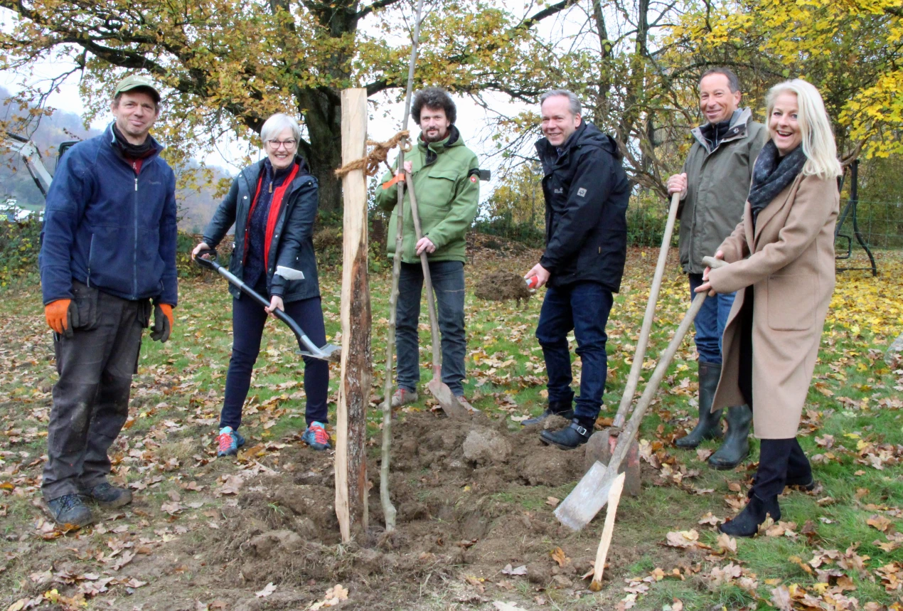 Pflanzaktion statt Festakt: im naturnahen Garten der VHS Oberberg haben Vertretende des Oberbergischen Kreises und der VHS Oberberg Apfelbäume alter Sorten (hier: Rheinischer Winterrambur) gepflanzt. (V.l.n.r. Harald Hamel, Obstbaum-Experte; Renée Scheer, Leiterin der VHS Oberberg; Christoph Weitkemper, Projektleiter im Amt für Planung, Entwicklung und Mobilität; Kreisdirektor Klaus Grootens; Frank Herhaus, Dezernent für Planung, Regionalentwicklung und Mobilität und Birgit Hähn, Dezernentin für Sicherheit, Ordnung und Bildung. (Foto: OBK)  