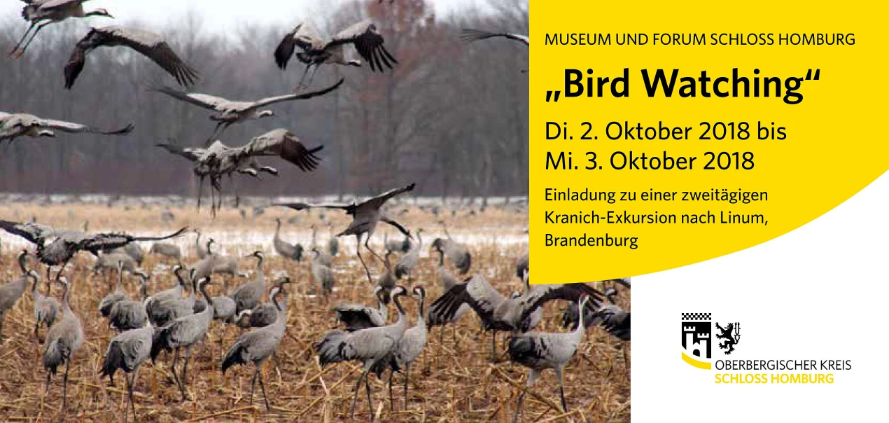 Postkarte zur Naturkunde-Exkursion „Kraniche live“ (Grafik: Museum und Forum Schloss Homburg; Foto: Henrick Watzke, NABU Berlin)