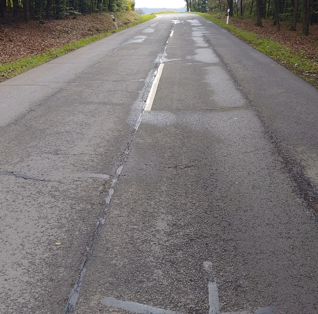 Eine asphaltierte Landstraße mit Mittellinie, umgeben von Bäumen. Die Straße ist stellenweise nass und führt in Richtung eines helleren Horizonts.