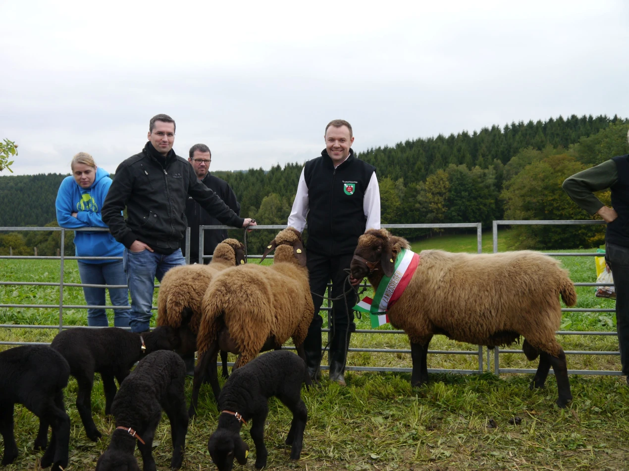 Braune Bergschafe werden auch 2019 wieder im Ausstellungskontingent der Kreistierschau vertreten sein. (Foto: OBK)