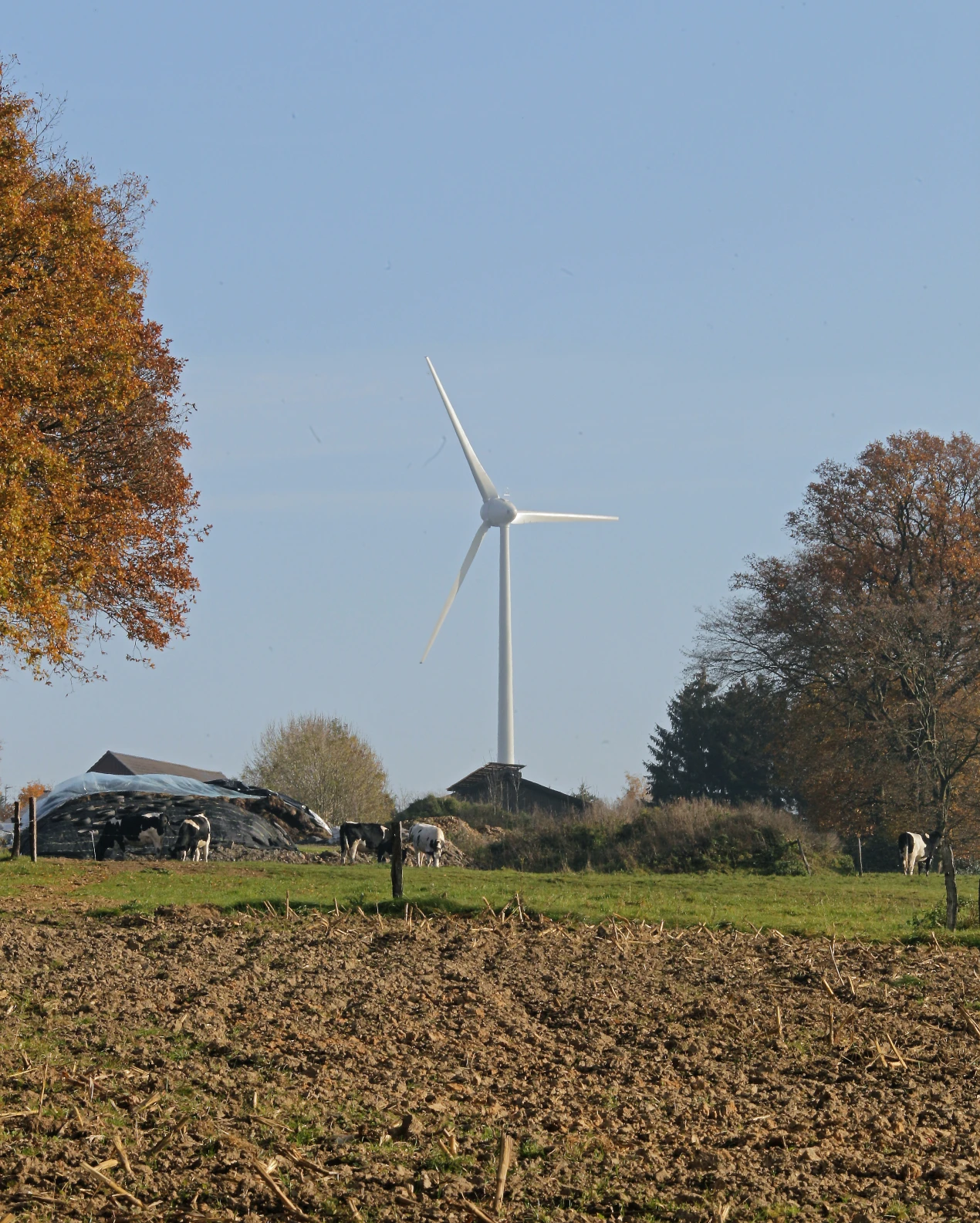 Bis einschließlich 13.02.2025 haben Bürgerinnen und Bürger die Möglichkeit, eine Stellungnahme zum Planentwurf "Erneuerbare Energien" abzugeben. (Foto: OBK)