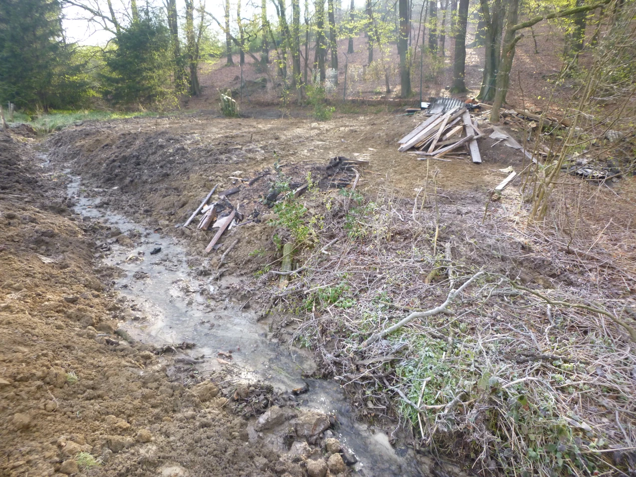 Nach dem Rückbau einer Teichanlage fließt der Fürwegerbach an selber Stelle naturnah entlang. (Foto: Wupperverband)