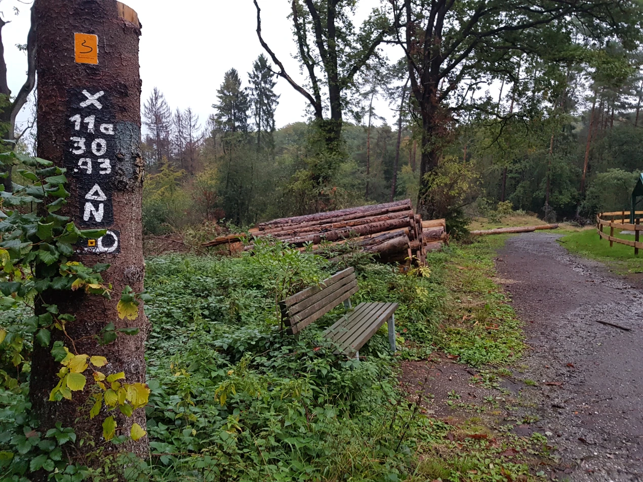 Aufgrund der anhaltenden Forstarbeiten nach Borkenkäferbefall und Trockenheit kann es auf einigen Wanderwegen in den Naherholungsgebieten zu Beeinträchtigungen kommen.(Foto: Naturpark Bergisches Land)