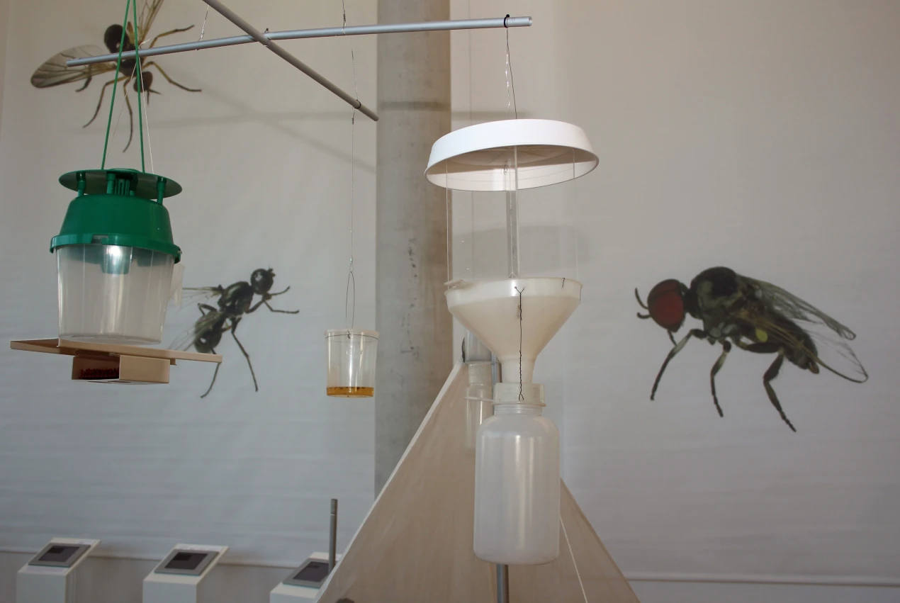 Auch Fliegenfallen und Fliegenklatschen bereichern die Sonderausstellung. (Foto: OBK)