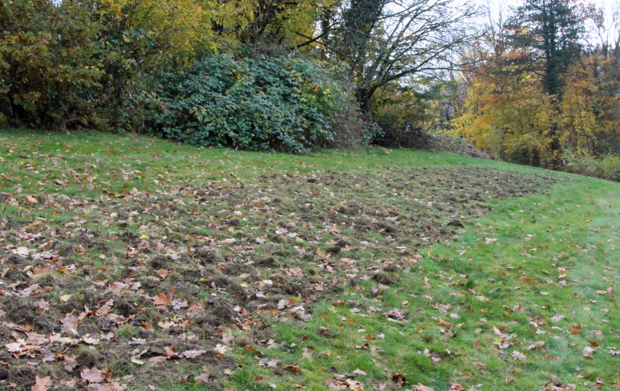 Diese Nutzfläche soll als Freiluft-Lernort genutzt und zu einem naturnahen Garten an der VHS-Oberberg gestaltet werden. (Foto: OBK)