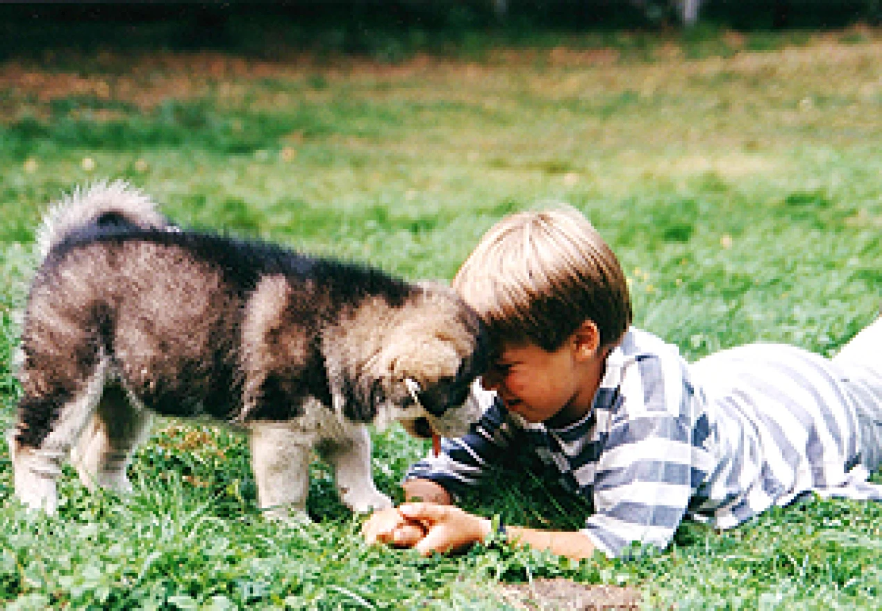 Ein Juge mit einem Husky-Welpen (Foto: obs/Mars Petcare Deutschland)