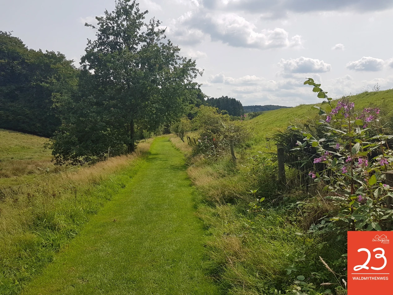 Beispiel eines optimalen Ehrenamts: gepflegter Wegeabschnitt auf dem Streifzug 23 Waldmythenweg.(Foto: Naturpark Bergisches Land) 