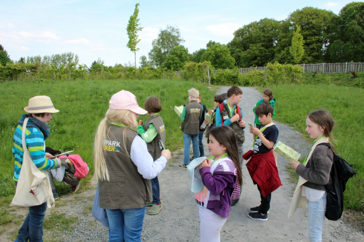 Mit Hilfe der Bestimmungskarte und den typischen Merkmalen können die Schülerinnen und Schüler die gesuchten Bäume gut erkennen. (Foto: OBK)